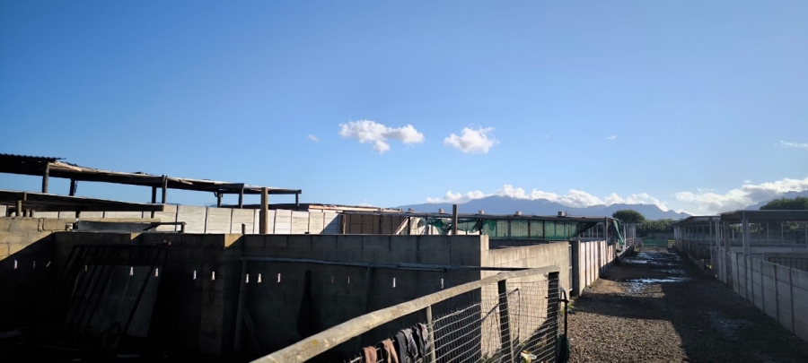 Commercial Property for Sale in Philippi Western Cape